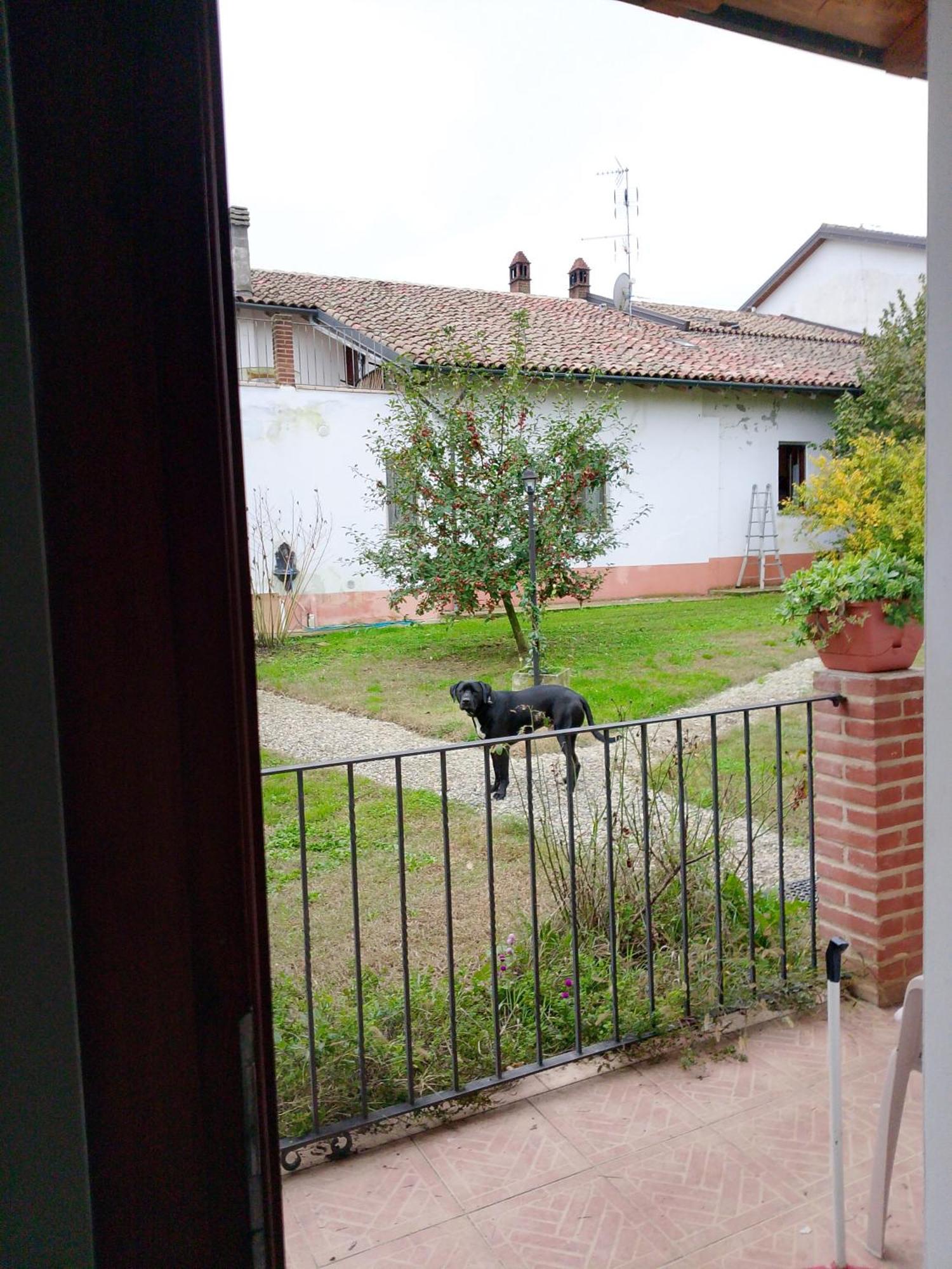 Cascina Trapella Villa Terruggia Bagian luar foto